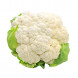 Brassica oleracea var. bortrytis