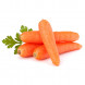 Daucus carota