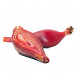 Eleutherine bulbosa